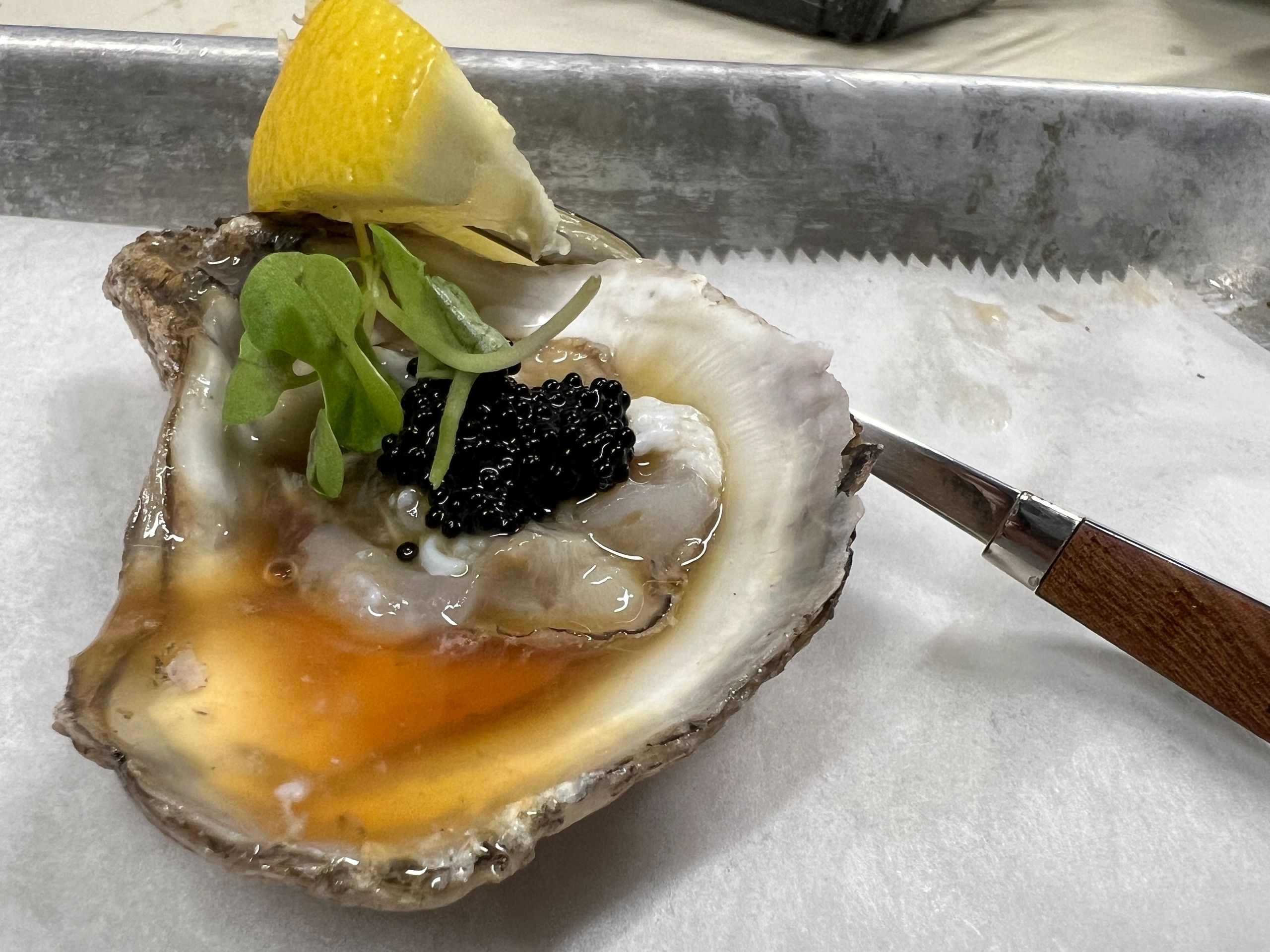 Oysters on the Half Shell